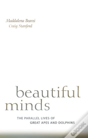 Capa do artigo Beautiful Minds