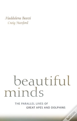 Capa do artigo Beautiful Minds