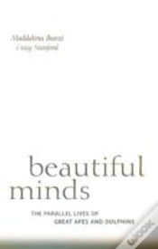Capa do artigo Beautiful Minds
