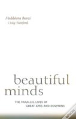 Capa do artigo Beautiful Minds