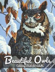 Beautiful Owls Coloring Book For Adults
