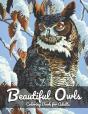 Beautiful Owls Coloring Book For Adults - Preview