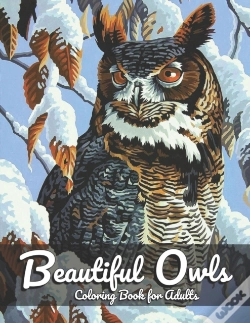 Capa do artigo Beautiful Owls Coloring Book For Adults