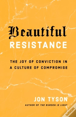 Capa do artigo Beautiful Resistance