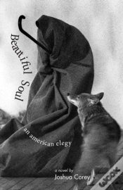 Capa do artigo Beautiful Soul