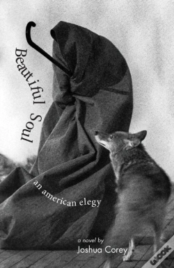 Capa do artigo Beautiful Soul