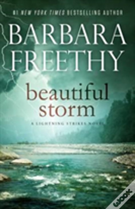 Beautiful Storm