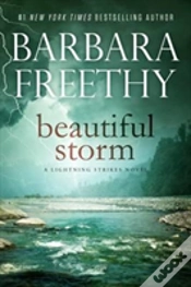 Capa do artigo Beautiful Storm