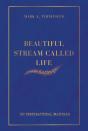 Beautiful Stream Called Life