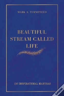 Capa do artigo Beautiful Stream Called Life