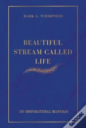 Capa do artigo Beautiful Stream Called Life