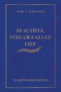 Beautiful Stream Called Life - Preview