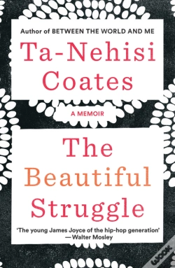 Capa do artigo Beautiful Struggle