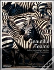 Capa do artigo Beautiful Teams