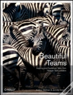 Capa do artigo Beautiful Teams