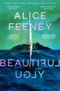 Beautiful Ugly - Preview