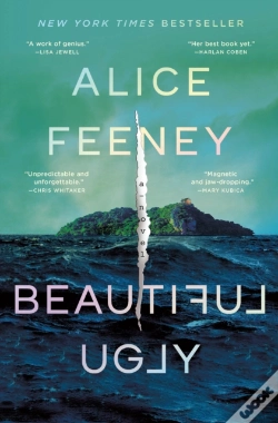 Capa do artigo Beautiful Ugly