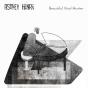 Beautiful Vinyl Hunter - CD - Preview