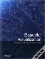 Beautiful Visualization : Looking At Data Through The Eyes Of Experts