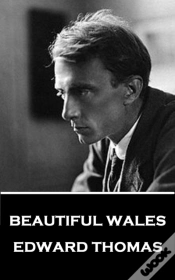 Capa do artigo Beautiful Wales