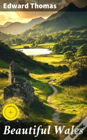 Capa do artigo Beautiful Wales