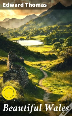 Capa do artigo Beautiful Wales