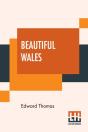 Beautiful Wales - Preview