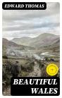 Beautiful Wales - Preview