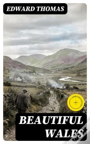 Capa do artigo Beautiful Wales