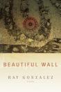 Beautiful Wall - Preview