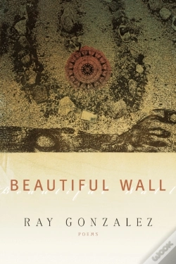 Capa do artigo Beautiful Wall