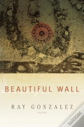 Capa do artigo Beautiful Wall