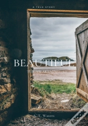 Capa do artigo Beautiful