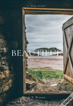 Capa do artigo Beautiful