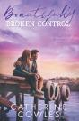 Beautifully Broken Control - Preview