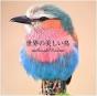 Beautifuls Birds /Japonais - Preview