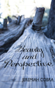 Beauty And Perspective