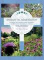 Beauty In Abundance - Preview