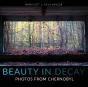 Beauty In Decay - Preview