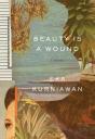 Beauty Is A Wound - Preview