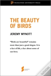Beauty Of Birds