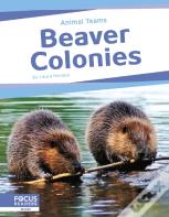 Beaver Colonies