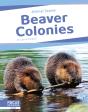 Beaver Colonies - Preview