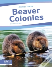 Capa do artigo Beaver Colonies