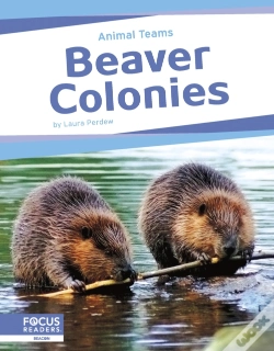 Capa do artigo Beaver Colonies