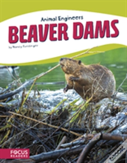 Capa do artigo Beaver Dams