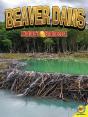 Beaver Dams - Preview