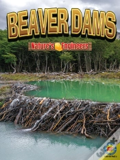 Capa do artigo Beaver Dams