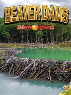 Capa do artigo Beaver Dams