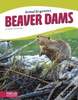 Beaver Dams